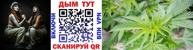 Где можно купить наркотики Кондопога Псилоцибиновые грибы A PVP КОКАИН ГАШ Мефедрон Бошки Шишки