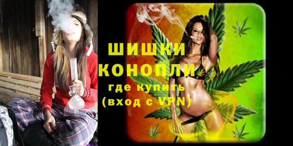 ГАЛЛЮЦИНОГЕННЫЕ ГРИБЫ Семёнов