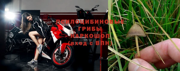 меф Бородино
