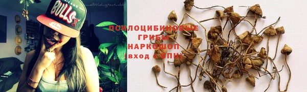 мет Бронницы