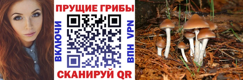 Псилоцибиновые грибы GOLDEN TEACHER  закладки  Кондопога 